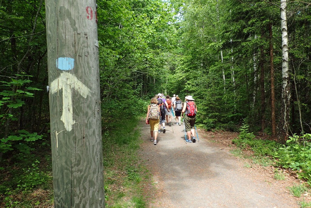 På vandring langs Tunsbergleden.